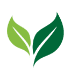 CS Olympic Logo
